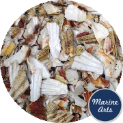 8957 - Crushed Shell - Natural Scallop Footpath